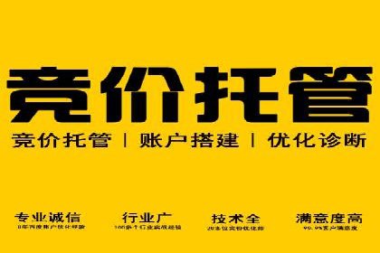 竞价SEM广告在娱乐行业的运用及效果展示
